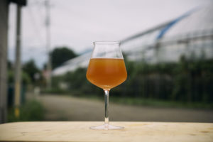 超完熟紀州南高梅2025