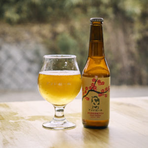 超完熟南高梅2024 