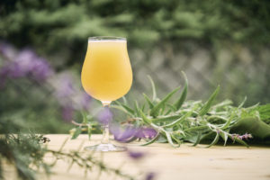 山梨のももも 2025