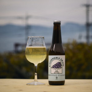 CHARDONNAY PIQUETTE 2024