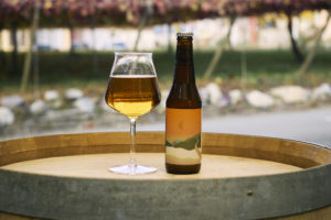 Koshu Trip ～ROUND TRIPシリーズ #05 ～