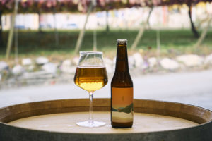 ROUND TRIP シリーズ第5弾”Koshu  Trip”リリースのお知らせ