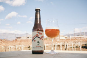 超完熟南高梅2025